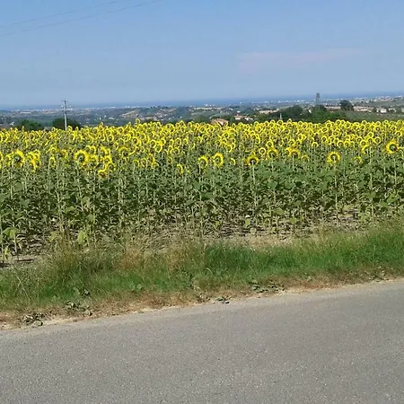 Affittacamere Carpe Diem Trarivi